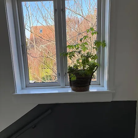 Kleiters Bed & Kitchen Apartment