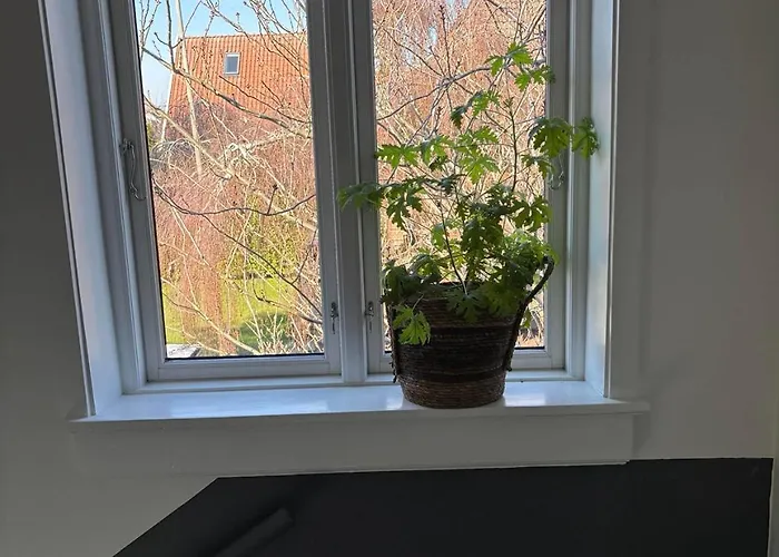 Kleiters Bed & Kitchen Apartman