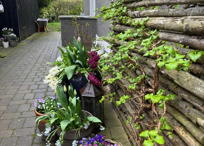 Kleiters Bed & Kitchen * Koppenhága